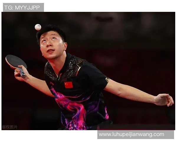 卡尔马龙与罗宾逊的传奇对决:篮球历史上的巅峰时刻解析 卡尔马龙与罗宾逊的传奇对决:篮球历史上的巅峰时刻解析