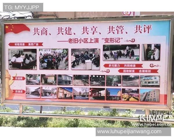 千叶市与东京的魅力对比探讨城市生活与文化差异