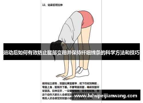 运动后如何有效防止腿部变粗并保持纤细线条的科学方法和技巧