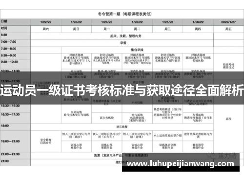 运动员一级证书考核标准与获取途径全面解析